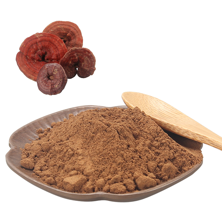 Reishi Mushroom Powder vs. Extract – Which Is Best for You?